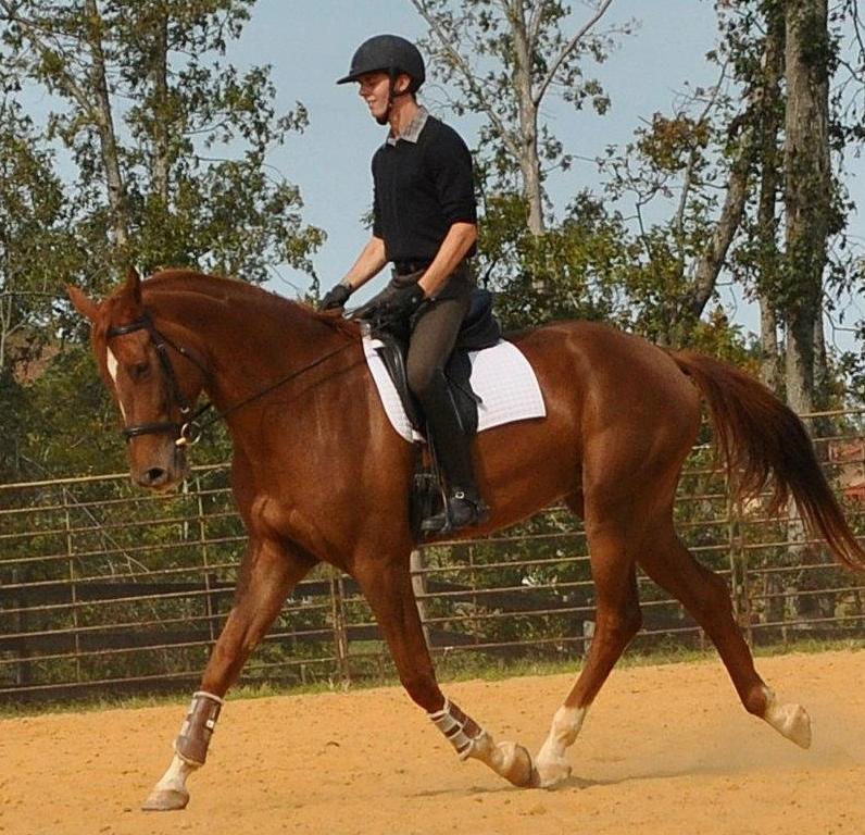 Frankie at Buckhorn